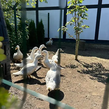 Goscinne Nad Morzem