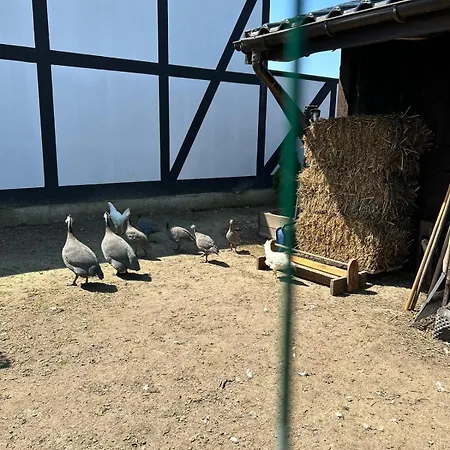 Goscinne Nad Morzem Bobolin