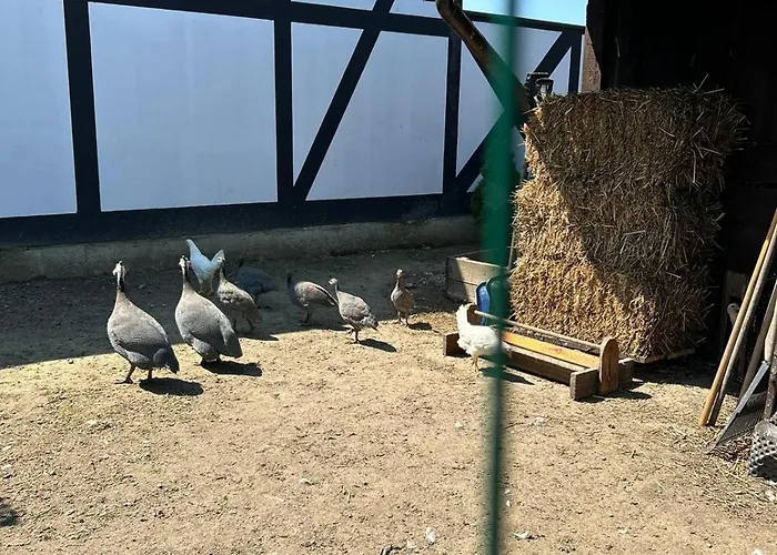 Goscinne Nad Morzem Боболин